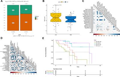 A tricarboxylic acid cycle-based machine learning model to select effective drug targets for the treatment of esophageal squamous cell carcinoma